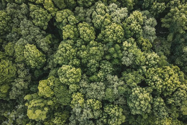 Maîtrisez l'art oratoire avec la formation libertone